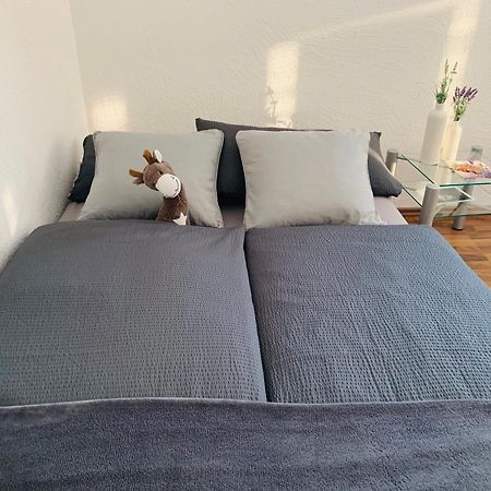 Schoene Wohnung In Roefingen Rofingen Екстериор снимка