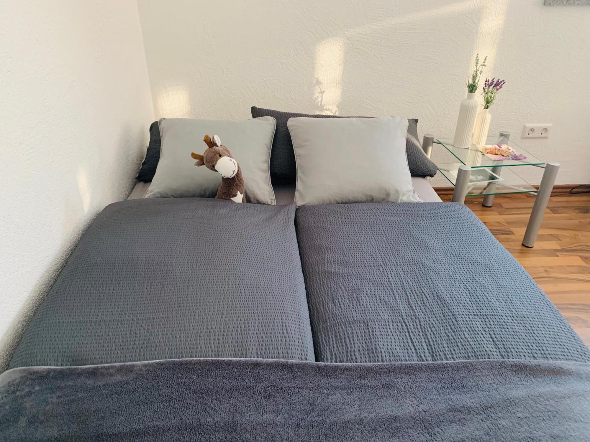 Schoene Wohnung In Roefingen Rofingen Екстериор снимка